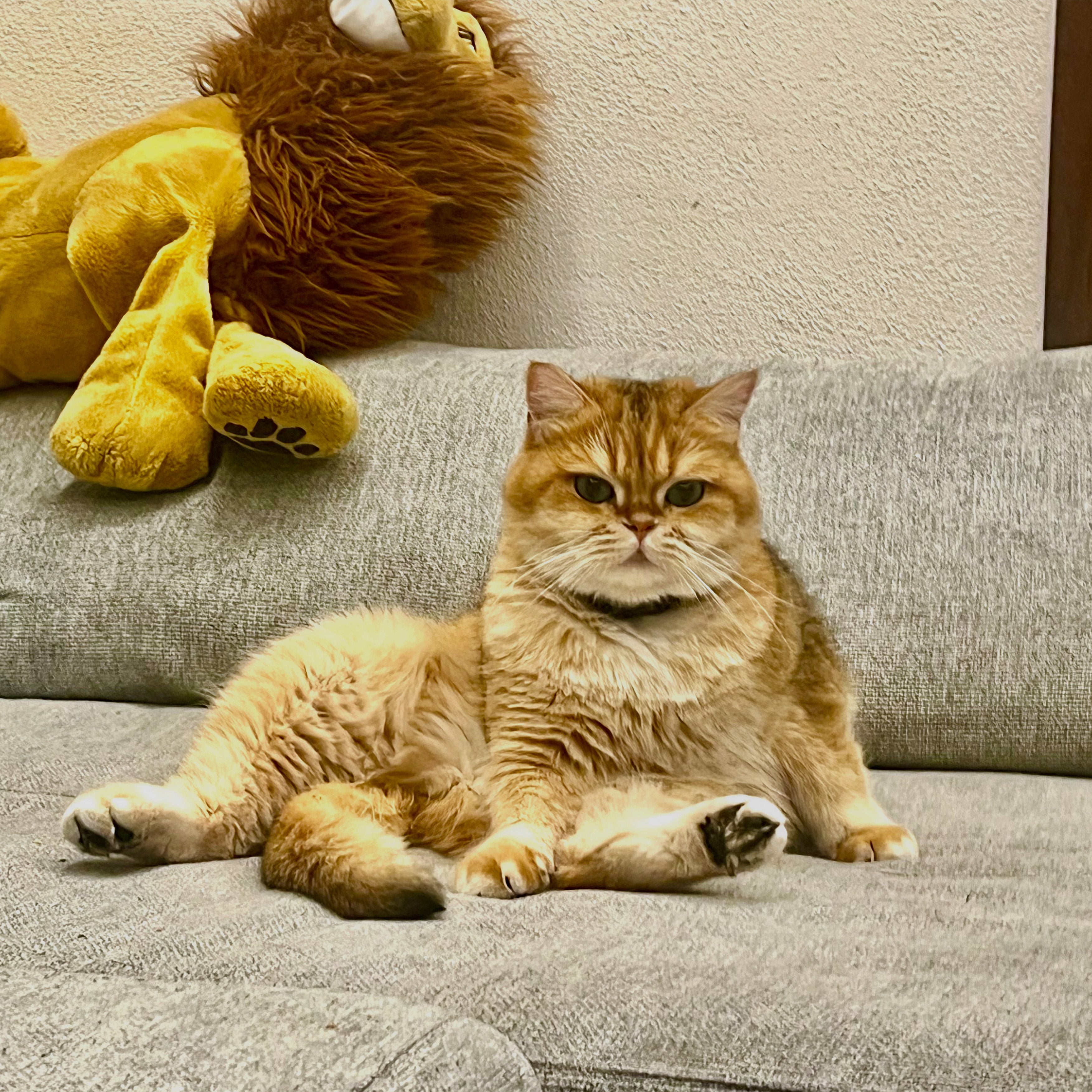 francis